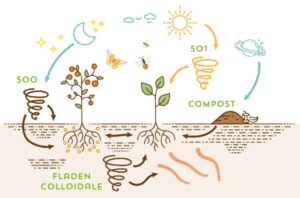 ciclo vitale del suolo sulla base dell'agricoltura biodinamica 