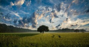 paesaggio agricoltura biodinamica