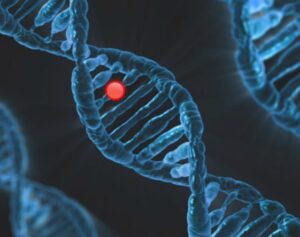 DNA in cui si evidenzia il gene del gusto amaro