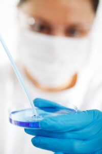 Esperienza di laboratorio per comprendere l'efficienza di un buon lievito madre.