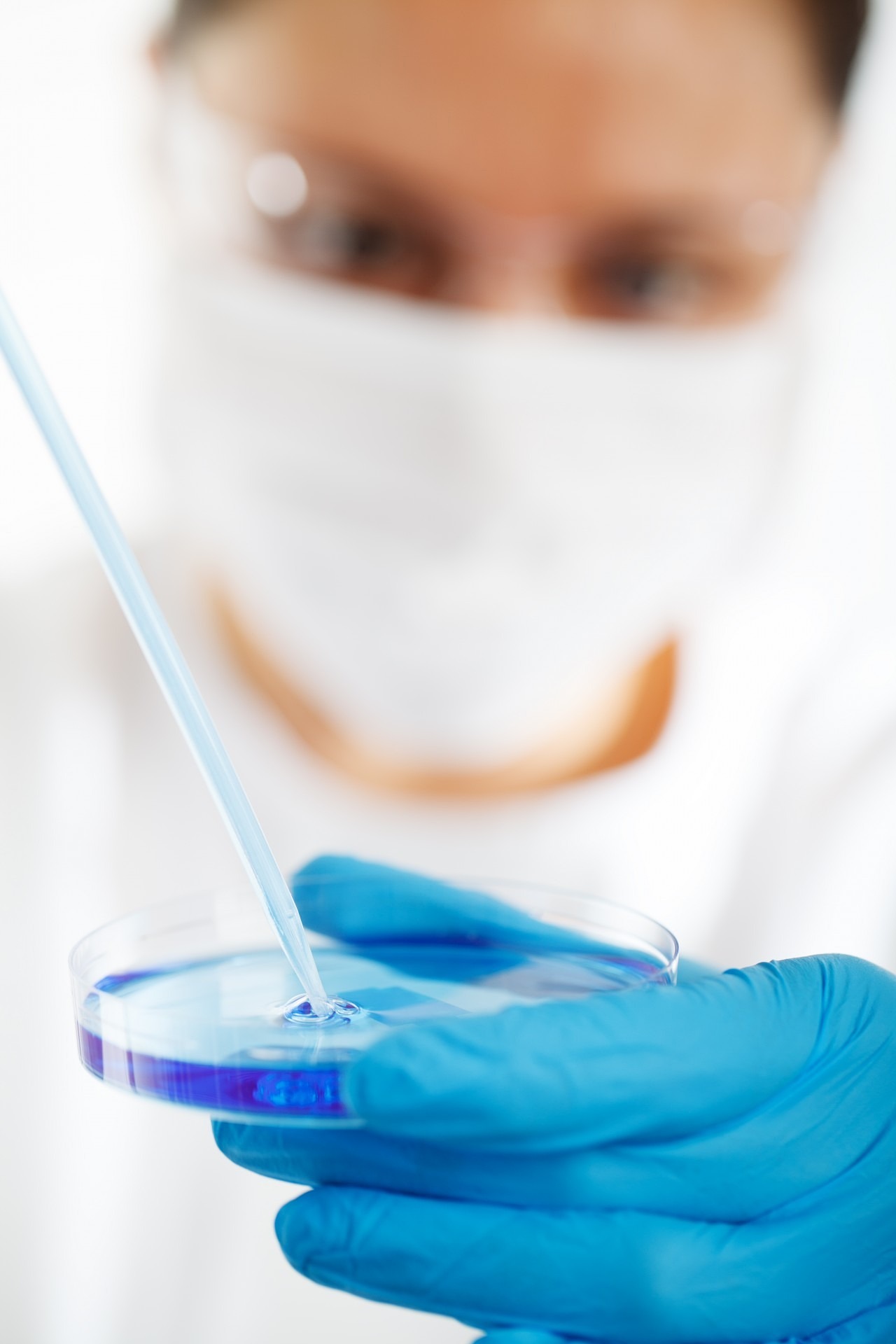 Esperienza di laboratorio per comprendere l'efficenza di un buon lievito madre